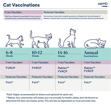 safest rabies vaccine for cats.